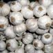Vietnam Dried Garlic