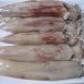 Frozen Vietnam Seafood Loligo Squid