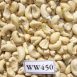 Cashew Nuts WW450